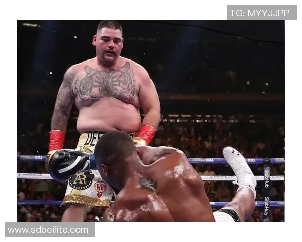 大卫海耶与鲁伊兹巅峰对决谁能称霸拳坛揭开胜负悬念